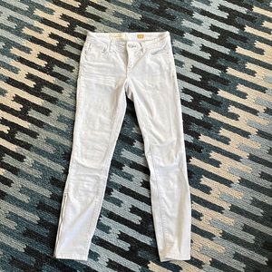 Pilcro and the letterpress light gray corduroys